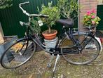 GAZELLE IMPALA DAMESFIETS 56 inch terugtraprem lage instap, 56 cm of meer, Ophalen, Gebruikt, Gazelle fiets