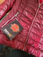 Regatta Dames Jas - Bordeaux Rood, Ophalen of Verzenden, Nieuw