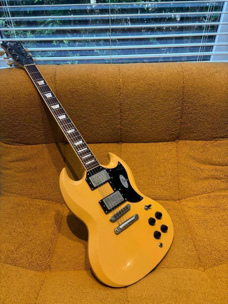 Meerdere gitaren - Gretsch/Fender/Taylor/Maybach/D'Angelico, Muziek en Instrumenten, Snaarinstrumenten | Gitaren | Elektrisch