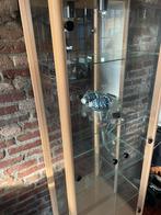 Vitrinekast, Huis en Inrichting, Kasten | Vitrinekasten, Ophalen, Gebruikt, 50 tot 100 cm, 150 tot 200 cm