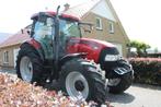 Case IH Maxxum 125 (bj 2010), Gebruikt, 120 tot 160 Pk, Case IH, Meer dan 10000
