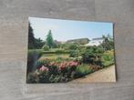 Leiden, Hortus Botanicus 1976, Verzenden, 1960 tot 1980, Ongelopen, Zuid-Holland