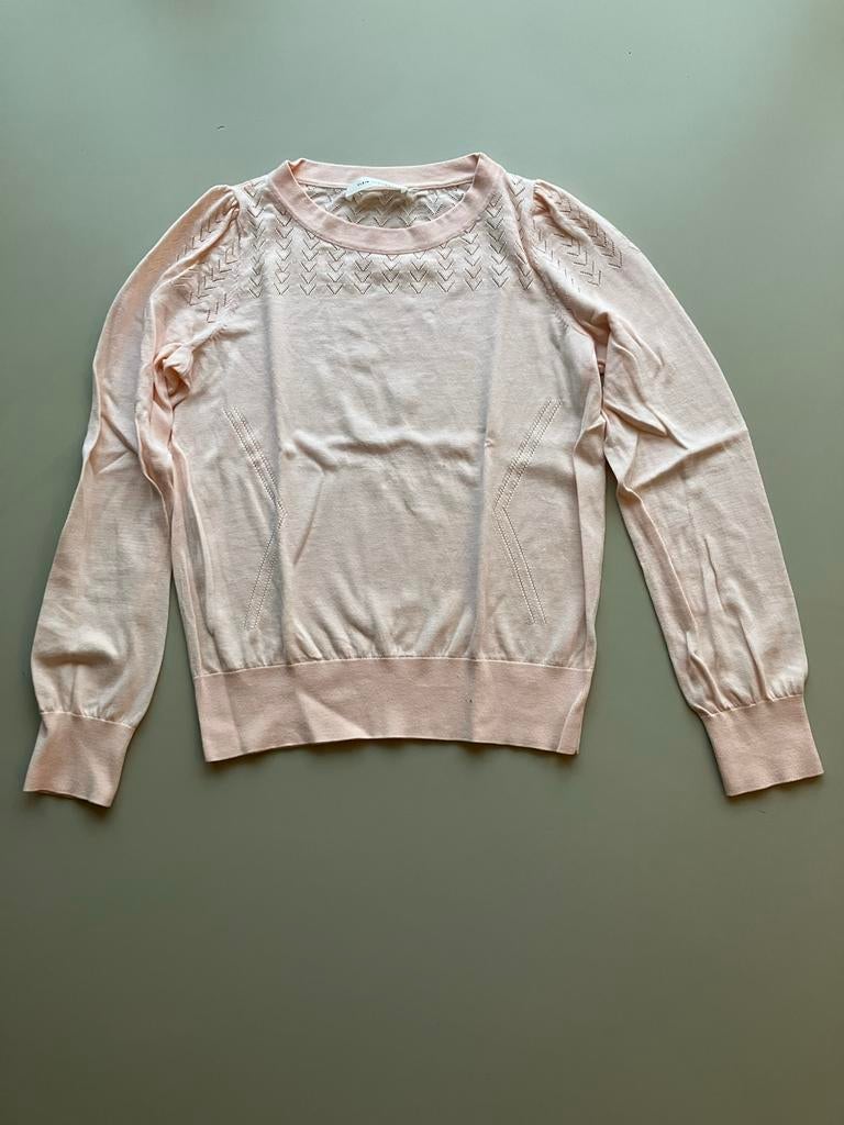 Roze trui van Plein Publique - Maat S, Kleding | Dames, Plein publique, Ophalen of Verzenden, Zo goed als nieuw, Roze