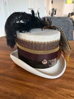 Carnavalshoed met veren, Ophalen of Verzenden, Zo goed als nieuw, One size fits all, Hoed