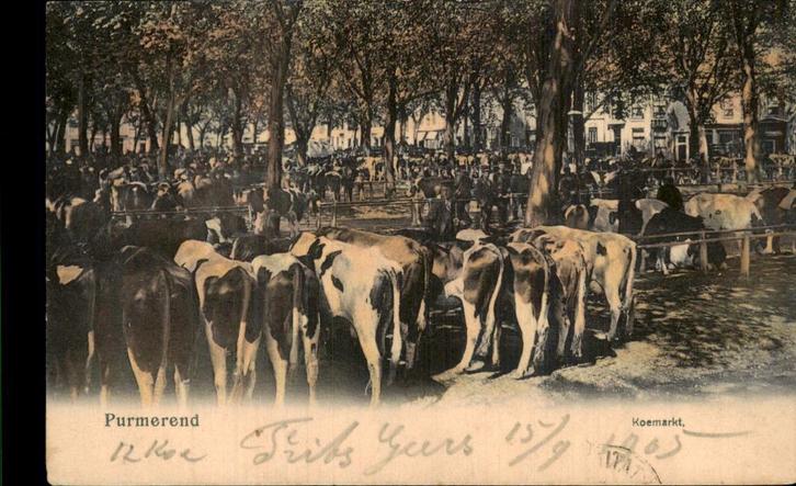 Purmerend - Koemarkt, Verzamelen, Ansichtkaarten | Nederland, Gelopen, Noord-Holland, Voor 1920, Ophalen of Verzenden
