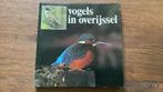 Vogels in Overijssel, Ophalen of Verzenden, Zo goed als nieuw, Diverse schrijvers, Vogels