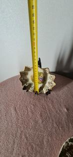 Te koop  mooi  porselein  schaltje, Antiek en Kunst, Antiek | Porselein, Ophalen of Verzenden