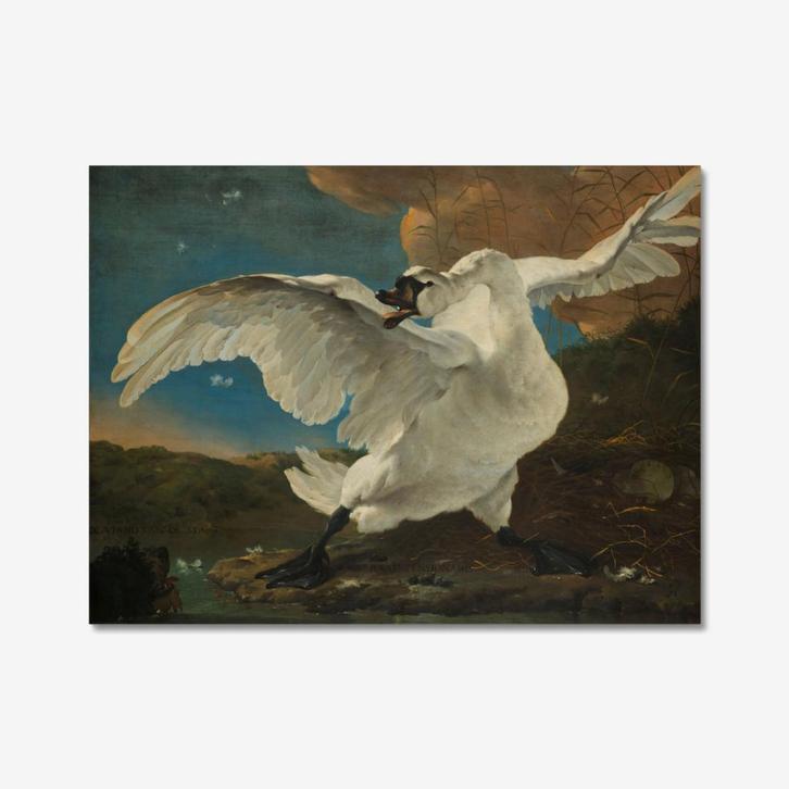 De Bedreigde Zwaan op Canvas, Huis en Inrichting, Woonaccessoires | Schilderijen, Tekeningen en Foto's, Nieuw, Schilderij, 75 cm of meer