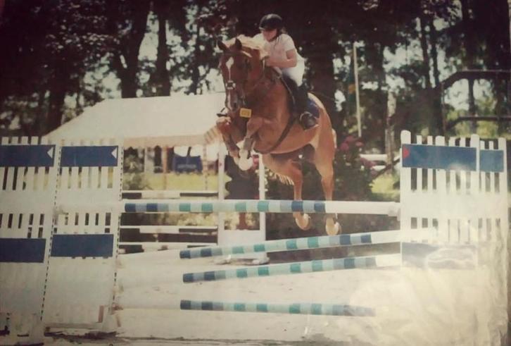 Verzorger / bijrijder aangeboden., Dieren en Toebehoren, Paarden en Pony's | Overige Paardenspullen, Nieuw, Ophalen of Verzenden