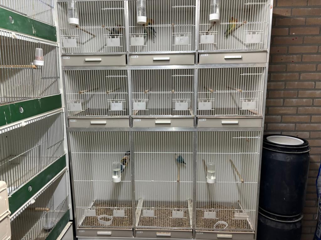 Gehu kooien, Dieren en Toebehoren, Vogels | Hokken en Kooien, Zo goed als nieuw, Broedkooi of Kweekkooi, Hout, Ophalen