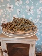 Schitterende Uitlek Schaal., Ophalen of Verzenden