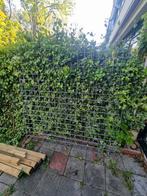 3 gaaspanelen, 180x180 cm, Tuin en Terras, Schuttingen, Ophalen, Nieuw, Minder dan 3 meter