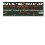 D.H.S. - the house of god 2001 remixes, Ophalen of Verzenden, Gebruikt, 12 inch, Techno of Trance
