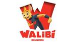 2 Walibi Belgium/België tickets, geldig t/m 31 juli 2025!, Tickets en Kaartjes, Recreatie | Pretparken en Attractieparken, Twee personen