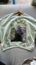 Star Wars sweater, Ophalen of Verzenden, Bershka, Gedragen, Groen