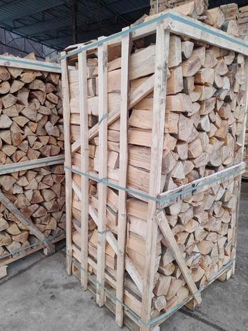 Haardhout haagbeuk geklooft en droog aanbieding!! beschikbaar voor biedingen