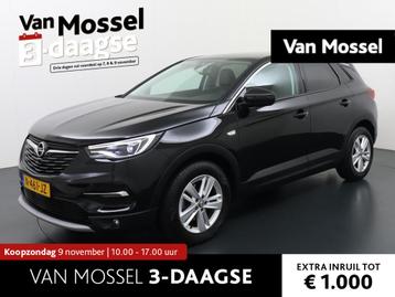 Opel Grandland X 1.2 Turbo Business Elegance | Navigatie | P beschikbaar voor biedingen