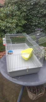 Konijnenhok of caviahok, Rat, Zo goed als nieuw, Hok, 75 tot 110 cm