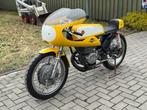 1974 Bultaco 240 250cc Racer, Bedrijf, Overig, Bultaco
