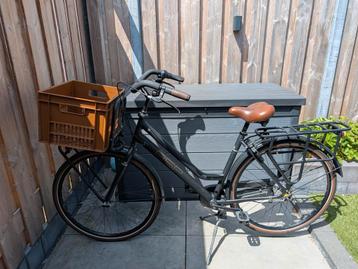 BSP Metropolis N7 – familiefiets 51cm – 7 versnellingen  beschikbaar voor biedingen