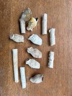 Bodemvondst kleipijp kleipijpen bodemvondsten pijpenkop, Ophalen of Verzenden