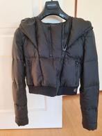 Pierre Balmain kort winterjack, Kleding | Dames, Ophalen of Verzenden, Gedragen, Zwart