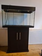 Juwel Aquarium Rio 125 Led 80x35x50 cm met onderkast, Dieren en Toebehoren, Vissen | Aquaria en Toebehoren, Ophalen, Gebruikt