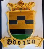 Odoorn, oud gemeente wapen., Verzamelen, Speldjes, Pins en Buttons, Ophalen of Verzenden, Zo goed als nieuw, Overige onderwerpen