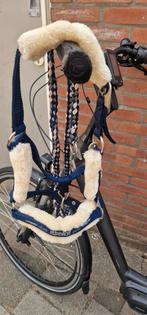 Eskadron kleine pony halster, Dieren en Toebehoren, Ophalen of Verzenden, Overige soorten