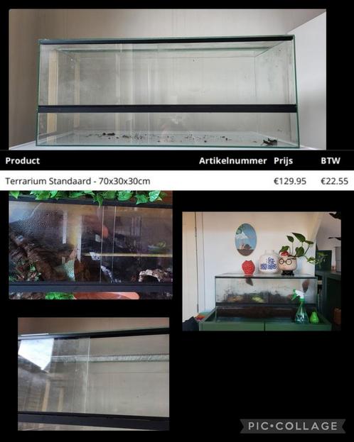 Terrarium, Dieren en Toebehoren, Reptielen en Amfibieën | Toebehoren, Gebruikt, Ophalen