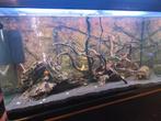 Complete aquarium met Led verlichting, Dieren en Toebehoren, Ophalen, Gebruikt, Gevuld zoetwateraquarium