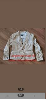 L'argentina jasje nieuw met prijskaartje maat 42 €50, Kleding | Dames, Jasjes, Kostuums en Pakken, Ophalen of Verzenden, Nieuw