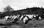 (380-077-023) Lemelerberg, Verzenden, Overijssel