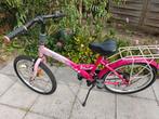 Meisjesfiets 20 inch, Ophalen, Gebruikt, 20 inch