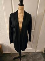 vest maat L   /z8, Ophalen of Verzenden, Gedragen, Maat 38/40 (M), Blauw