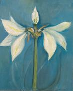 Flower amaryllis, Ophalen of Verzenden