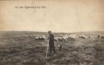 VELP, Op den Zijpenberg, Herder Schapen (1920) Ansichtkaart, Ophalen of Verzenden, Voor 1920, Gelopen, Gelderland