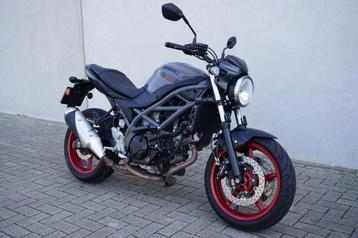 SUZUKI SV 650 (bj 2023) SV650 (NIEUWSTAAT) beschikbaar voor biedingen