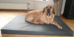 Honden Mand Hondenkussen Hondenbed HD - Diverse Maten!, Ophalen of Verzenden, Nieuw, Overige