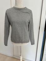 Grijze sweater, Ophalen of Verzenden, Zo goed als nieuw, Maat 38/40 (M), Grijs