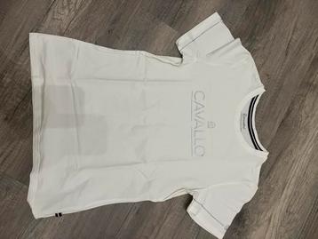 Nieuw Cavallo shirt beschikbaar voor biedingen