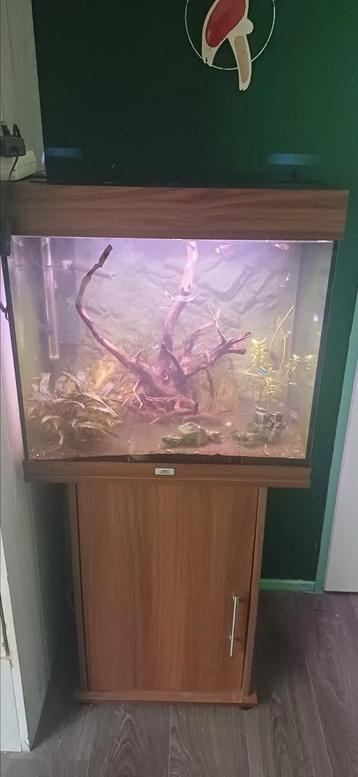 Aquarium juwel beschikbaar voor biedingen