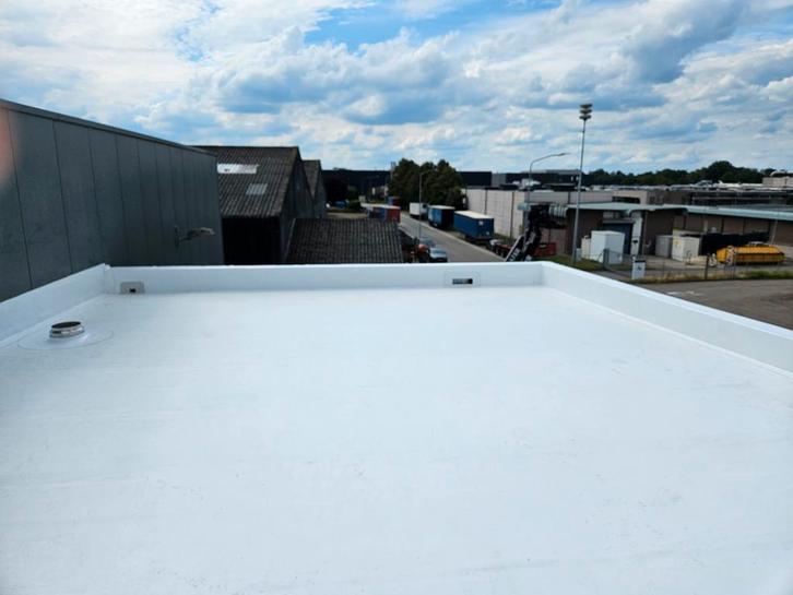 Dakbedekker bied zich aan, Diensten en Vakmensen, Dakdekkers en Rietdekkers