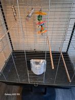 Mooie en grote vogelkooi, Ophalen of Verzenden, Zo goed als nieuw, Metaal, Vogelkooi