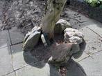 6 stuk grote zware tuin keien, Ophalen, Gebruikt, Kei