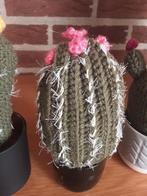 Gehaakte cactussen 4euro per stuk, Ophalen of Verzenden, Nieuw