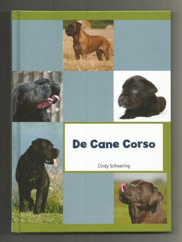 De Cane Corso - Cindy Schwering beschikbaar voor biedingen