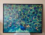 Grote kleurrijke ingelijste wand plaat Pauw 138,5 x 103,5 cm, Ophalen