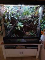 Terrarium groot.Nu afgeprijsd!!!!!!!!!!, Dieren en Toebehoren, Reptielen en Amfibieën | Toebehoren, Ophalen of Verzenden