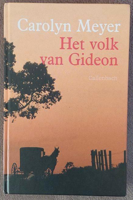 Carolyn Meyer: Het volk van Gideon, Boeken, Romans, Zo goed als nieuw, Ophalen of Verzenden